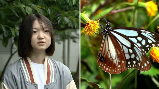 旅する蝶「アサギマダラ」に魅せられて10年・・・蝶を呼び込む花壇作りに取り組む高校生「子供達に見せたい」保育園にも設置|TBS NEWS DIG
