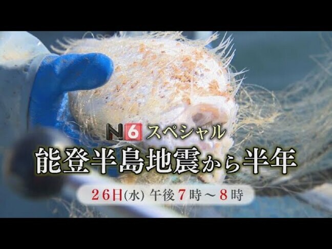 【特別番組】能登半島地震から間もなく半年…被災地の今は？自治体の支援は？海の異変は？富山|TBS NEWS DIG