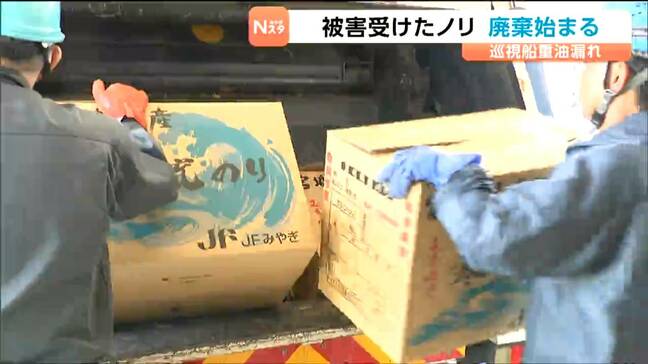 重油流出で被害のノリ焼却処分が本格化　1日7トンを加工し順次焼却　漁協は海保に補償請求へ　宮城・七ヶ浜町|TBS NEWS DIG