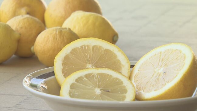 広島県産“瀬戸内レモン”の選果 安曇野市で始まる リンゴやナシの選果がない「オフシーズン」の施設を有効活用 長野|TBS NEWS DIG