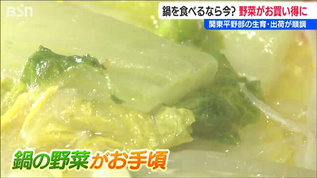 鍋チャンス!! ジャガイモやタマネギは高いけど ハクサイやネギなど鍋野菜は今が『お買い得』新潟|TBS NEWS DIG