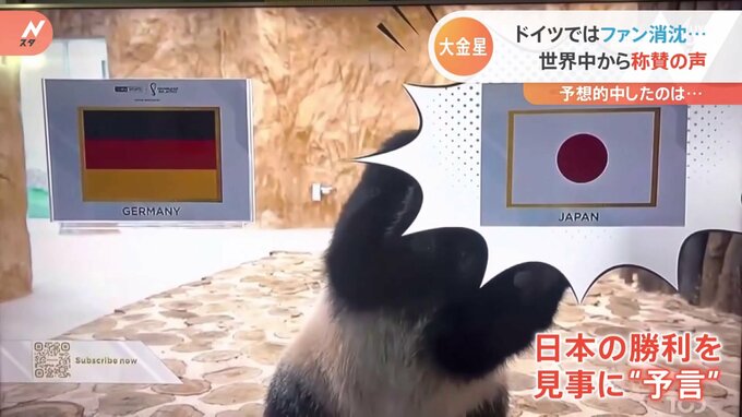 サッカーW杯まとめ　ドイツ戦、日本の歴史的勝利をパンダが“予言”？全国各地＆選手の家族らから歓喜の声【随時更新】|TBS NEWS DIG