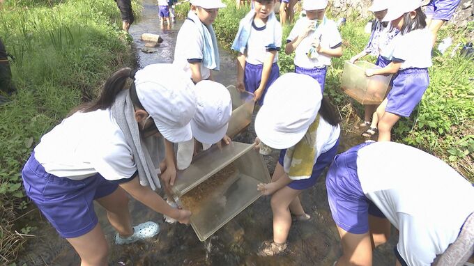 「元気に育ってね」小学生がゲンジボタルの幼虫を放流　来年の乱舞を期待して|TBS NEWS DIG