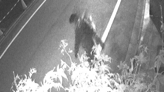 犯行約3分後に北方向へ歩く男…防犯カメラに　82歳男性殺害容疑の自衛官「襲う相手が見つからず市内へ」|TBS NEWS DIG