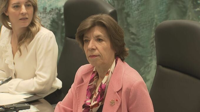 フランス外相　「ロシアが偽情報拡散」と非難　ウクライナ支援に揺さぶりか|TBS NEWS DIG