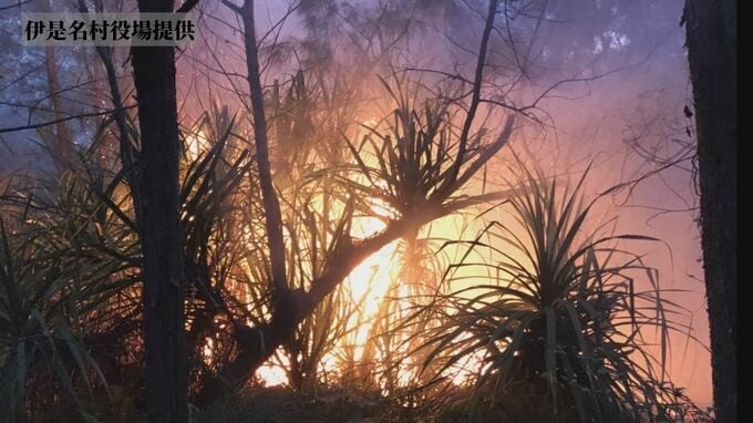 中国人女性が「購入」した沖縄・屋那覇島の雑木林で火災　当時、大学生35人がキャンプ|TBS NEWS DIG