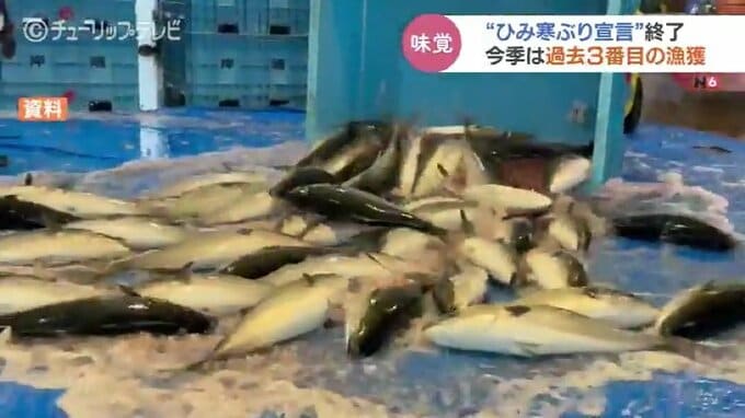 “ひみ寒ぶり宣言” 終了　今シーズンは過去3番目の多さで4万7000本　富山・氷見市　|　富山のニュース｜天気・防災｜チューリップテレビ