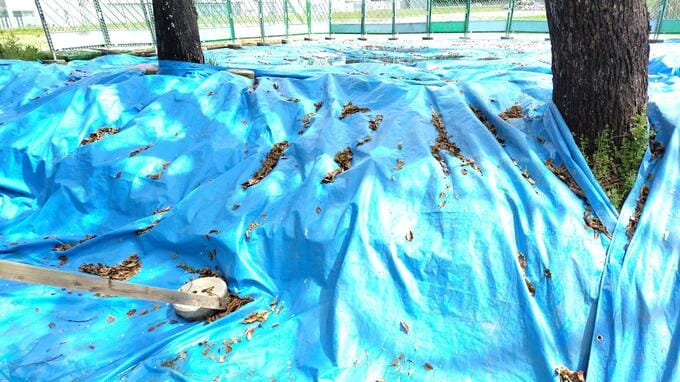 城山公園の土壌から基準値超える鉛 汚染範囲を確認次第、撤去へ 検出か所は旧四国がんセンターの跡地　|　愛媛のニュース - Nスタえひめ｜あいテレビは6チャンネル