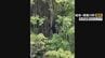 相次ぐクマの出没 岐阜県が石川県など県境を越えて対策協議 “地域を越えた連携深め実効性ある対策を”　|　名古屋・愛知・岐阜・三重のニュース【CBC news】 | CBC web