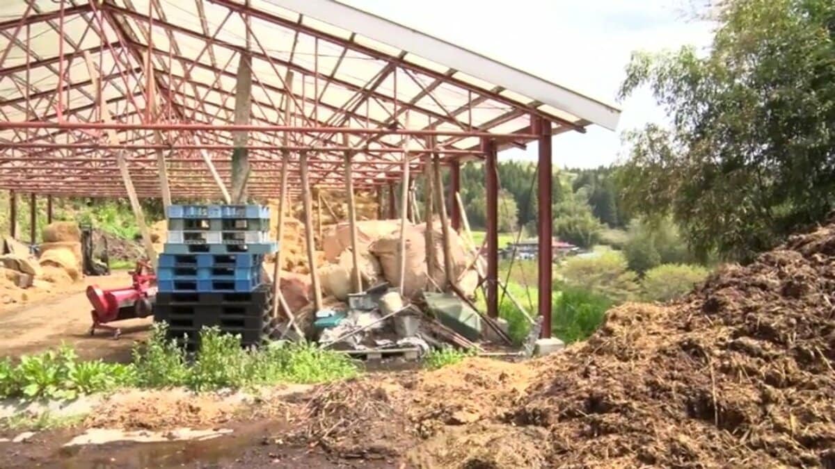 「外に出していたヤギが死んでいる」警察に通報　ヤギの周りにはクマのふん　牙や爪…