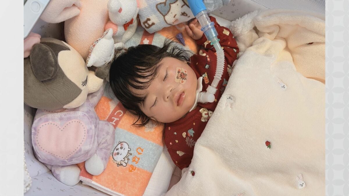 出産目前の妊婦はねられ死亡 重い障害が残った赤ちゃんも｢被害者｣ 遺族の思い 運転していた女に禁錮2年6か月の実刑判決 愛知･一宮市
