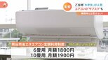 「梅雨はどこへ?」早すぎる猛暑に農家も街も悲鳴 “暑いまち熊谷”は省エネエアコンのサブスク開始|TBS NEWS DIG