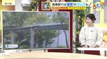 【5/2(土)~GW広島天気 】土曜は晴れ間が広がる 日曜は午後からまとまった雨 PM2.5の多いゴールデンウィーク|TBS NEWS DIG