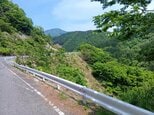 バードウォッチングをしていたら…「70m下の谷底に軽トラックが落ちている」 中から白骨化した遺体を発見 現場は「三徳山」に抜ける県道沿い 事件・事故両面で捜査|TBS NEWS DIG