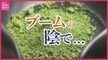 「仕入れ価格が３倍のものも」「抹茶だけでなくほうじ茶も」世界的な抹茶ブームで伸び悩む生産量　仕入れ確保　生産量確保のために様々な取り組み　|　RCC NEWS | 広島ニュース | RCC中国放送