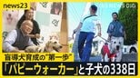 【盲導犬候補犬クレール】パピーウォーカーとの1年間に密着「何をしてもかわいい時期を一緒に」盲導犬を支えるボランティア 出会いから別れまでの338日【news23】|TBS NEWS DIG