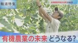 有機農業の未来は?【報道特集】|TBS NEWS DIG