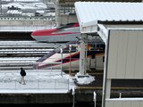 車輪がスリップして安全装置効かず 郡山駅の新幹線オーバーラン JRが調査結果発表 | 福島のニュース│TUF