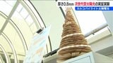 「薄くて軽くて曲がる」次世代型太陽電池は雪国 新潟で活用できるのか『カルコパイライト』の実証実験始まる | 新潟のニュース・天気|BSN NEWS|BSN新潟放送