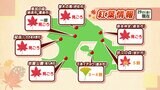 【紅葉情報】見ごろ多い 土日紅葉狩りに最適 鹿児島|TBS NEWS DIG