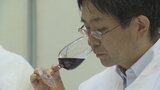 国内最大規模の「日本ワイン」審査会 過去最多となる全国のワイナリーが参加 山梨・甲府 | 山梨のニュース | UTYテレビ山梨