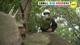 広島の都心には“海”がある　被爆岩礁を守る　平和大通り・白神社|TBS NEWS DIG