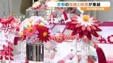 240年続く「いづう」の鯖姿寿司から職人の「だし巻き」まで!京都の名店40店がいよてつ高島屋に結集 | 愛媛のニュース - Nスタえひめ|あいテレビは6チャンネル