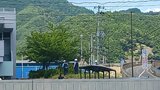 岩手・釜石市で木に登っているクマを確認 市や警察が対対応し午後3時すぎに北東方向に立ち去る|TBS NEWS DIG