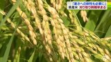 「青森県は冷害の歴史」「水稲の暑さへの耐性も必要に」青天の霹靂・はれわたり　暑さで刈り取り期早まる|TBS NEWS DIG