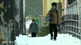 真庭で積雪80センチ超 岡山北部を中心に大雪続く【岡山】|TBS NEWS DIG