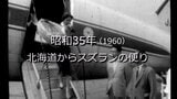 北海道からスズランの便り【昭和35年・1960】~RKKニュースミュージアム~ | 熊本のニュース|RKK NEWS|RKK熊本放送