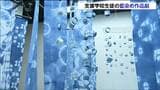 染料から手作りした藍染め作品がずらり　支援学校の生徒たちが制作した藍染め作品展　宮城・美里町　|　宮城のニュース│tbc NEWS│tbc東北放送