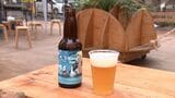 「走った後に健康になれるようなビール」浜名湖の"カキ殻"使ったミネラルたっぷりクラフトビール誕生=静岡・浜松市 | 静岡のニュース | SBSNEWS | 静岡放送