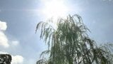 岡山・香川は各地で35℃超のおそれ 香川県には熱中症警戒アラート 水分補給やエアコンの適切な利用を | 岡山・香川のニュース | 天気 | RSK山陽放送
