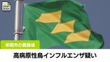 串間市の養鶏場で高病原性鳥インフルエンザ疑い　遺伝子検査の結果は11日早朝に判明する見通し|TBS NEWS DIG