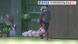 「目指すは球団新記録」広島カープ栗林投手がマツダスタジアムで自主トレ|TBS NEWS DIG