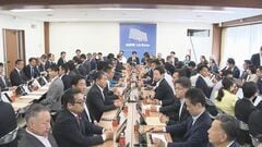 食料品の消費税 来年4月から2年間1％の方針を大筋了承「国民は減税を約束したと思っている」　自民・税制調査会などの合同会議| TBS CROSS DIG with Bloomberg
