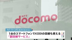 NTTドコモ 来月から通信障害時にKDDI回線使えるように…月額429円～ 副回線サービスとして| TBS CROSS DIG with Bloomberg
