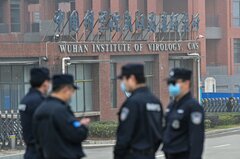 コウモリから新型コロナに似た新たなウイルス検出、武漢の研究所発表| TBS CROSS DIG with Bloomberg