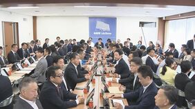 食料品の消費税 来年4月から2年間1％の方針を大筋了承「国民は減税を約束したと思っている」　自民・税制調査会などの合同会議|TBS NEWS DIG