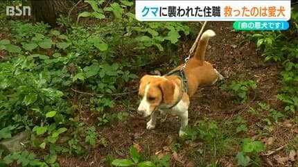 もう終わったな」散歩中に1.6mほどのクマに襲われた45歳住職 救ったの