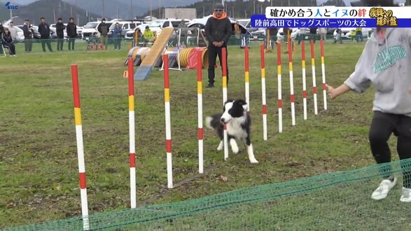 「東日本大震災の被災地で人とイヌが一緒に楽しむ機会を」当時、行方不明者の捜索に携わったイヌの訓練士が開いた競技会　被災した夫婦もドッグスポーツ「アジリティ」に挑戦　岩手・陸前高田市　|　IBC NEWS | IBC岩手放送
