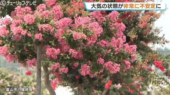 朝の晴天から一転…富山県内は昼過ぎから大雨に注意、1時間40ミリの激しい雨のおそれ　21日正午までに80ミリ予想で土砂災害に警戒　|　富山のニュース｜天気・防災｜チューリップテレビ