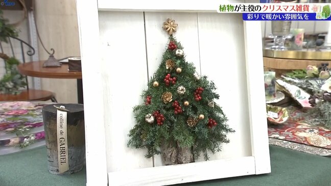 「東北の冬は色のない世界になってしまうので彩りを添えたもので温まってほしい」植物を主役にしたクリスマス雑貨　岩手・滝沢市|TBS NEWS DIG