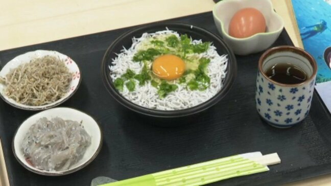 “愛媛の西端を遊びつくす!” 愛媛・伊方町全域を会場に「遊ぶ・作る・安らぐ」体験イベント 7月1日から|TBS NEWS DIG