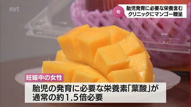 胎児の発育に必要な「葉酸」を多く含むマンゴーを妊婦さんに　宮崎市の産婦人科クリニックに完熟マンゴー贈呈|TBS NEWS DIG