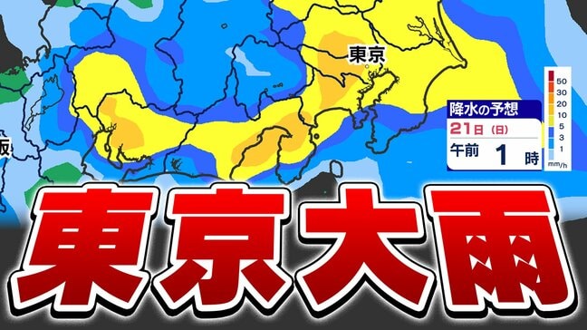 【東京首都圏】土日「本降りの雨」梅雨前線北上「雨はいつから」【雨シミュレーション ／ 週間予報】東京・神奈川・埼玉・千葉・群馬・栃木・茨城・山梨・長野|TBS NEWS DIG