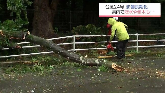 宮崎県で大雨被害 日向市の住宅街で足首まで冠水 道路への土砂流出や倒木で交通混乱も|TBS NEWS DIG