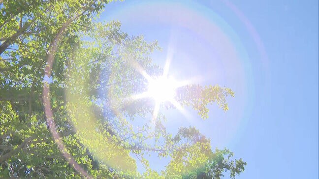 31日も厳しい暑さに 福岡県久留米市と大分県日田市で最高気温40℃の予想 佐賀市でも予想最高39℃ 熱中症に警戒を|TBS NEWS DIG