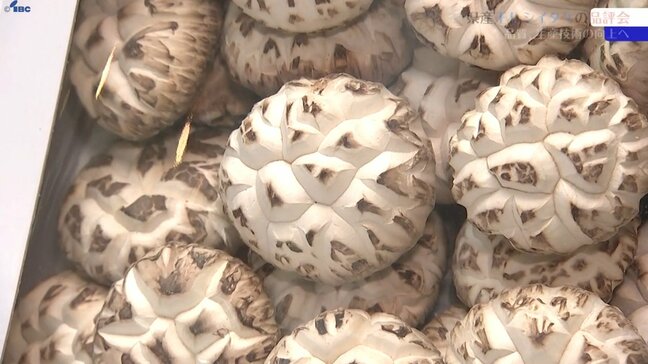 岩手県産干しシイタケの品質や生産技術を審査する品評会の表彰式　盛岡市|TBS NEWS DIG